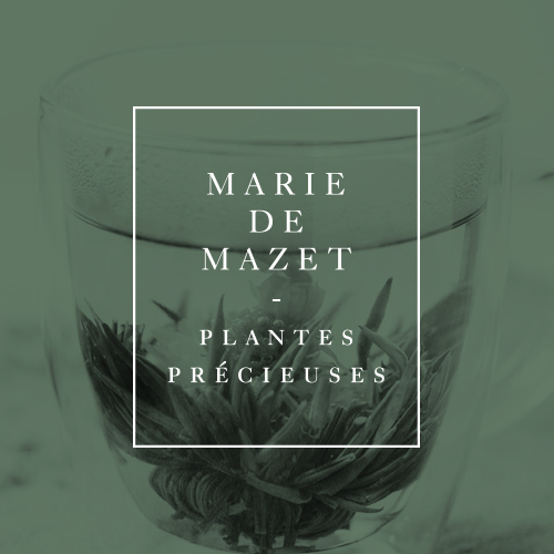 Projet Marie de Mazet